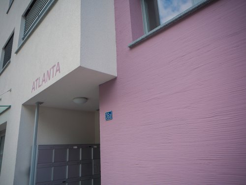 MFH America, Naters - Detailansicht Besenstrich